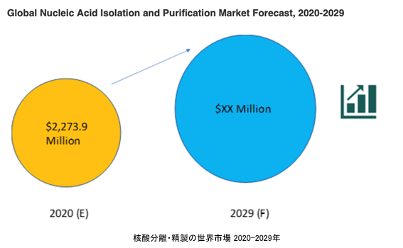 核酸分離・精製の世界市場 2020-2029年