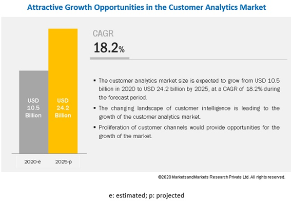 Customer Analytics Market